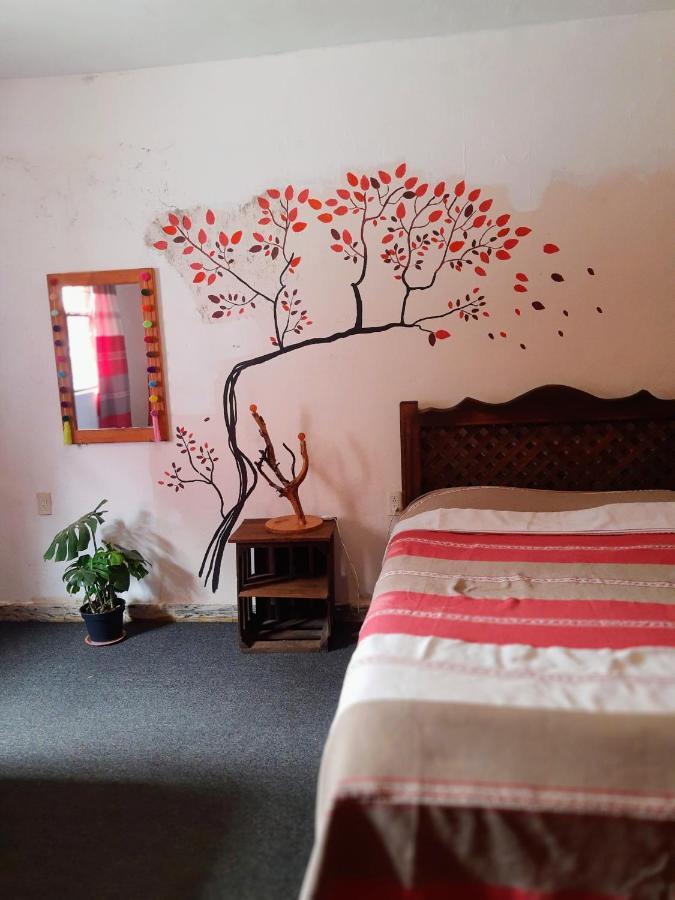 Hostel Mirador San Cristóbal de Las Casas Kültér fotó